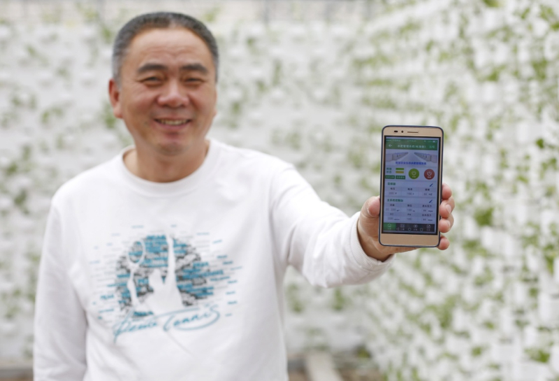 近年来,河北省衡水市桃城区积极推广“互联网+设施农业”模式,利用“互联网农业”思维构建标准化、智能化种植体系,实现农产品的全程溯源、智能监控、标准化管理。目前,桃城区已建成现代农业示范园区上千亩。智能设施农业提高了种植产量和生产效率,越来越多的农民在当地龙头企业以及专业合作社的带动下,投身智慧农业,增收致富。