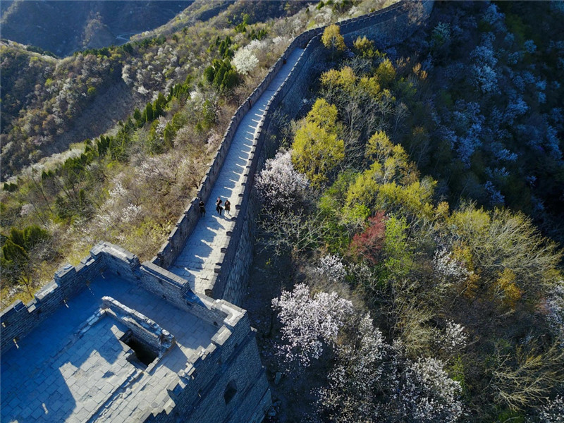 这是4月11日拍摄的怀柔慕田峪长城。