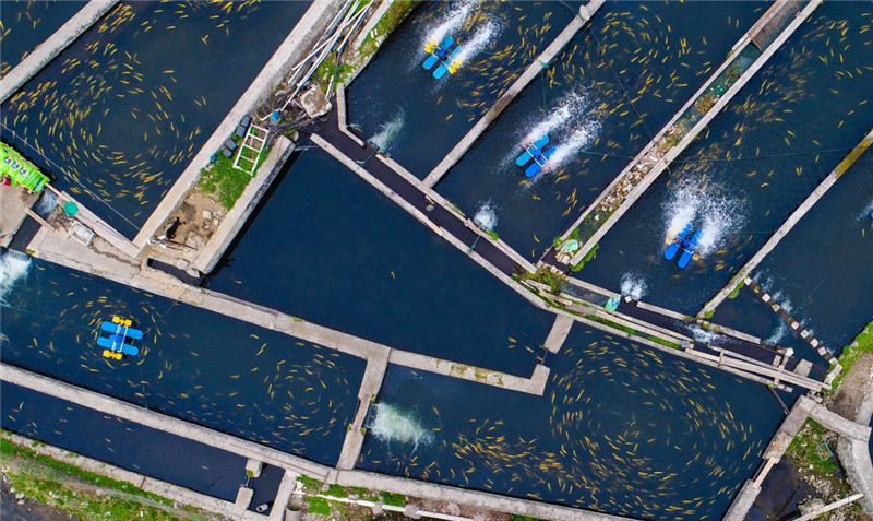 这是4月10日拍摄的怀柔田仙峪村村民的鱼塘。