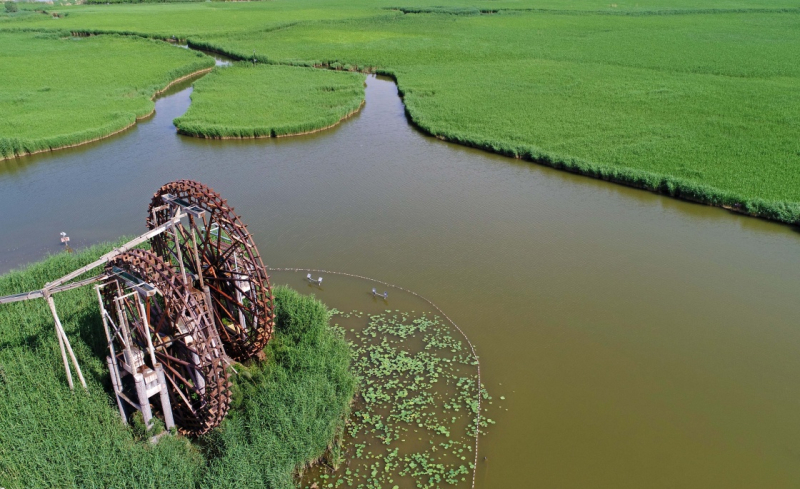 宁夏银川市素有“塞上湖城”的美誉，为重现“塞上湖城”的生态景观，银川市近年来不断加大湿地湖泊的保护与恢复力度，建设宜居城市环境。