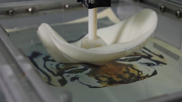 计算水文印刷 3D打印色彩革命探索者 