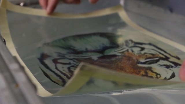 计算水文印刷 3D打印色彩革命探索者 