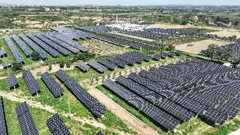 1695643712636081539.jpg